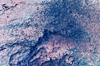 W 019